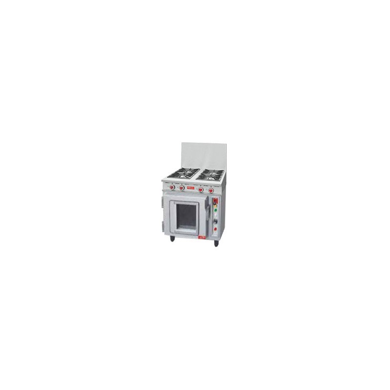 CUISEUR DELRUE - 4 FEUX 7,5kW SUR FOUR VENTILE TURBO CUISEUR DELRUE - 4 FEUX 7,5kW SUR FOUR VENTILE TURBO