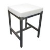 BILLOT POLY 600X600X100 SUR PIETEMENT INOX 304  L 600 P 600 H 850