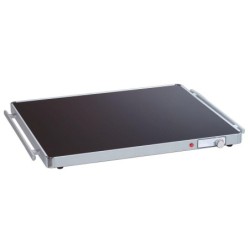 PLAQUE CHAUFFANTE GN2/1