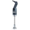MIXEUR PLONGEANT MINI MP240 V.V.
